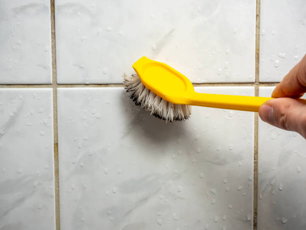 Mold Removal and Inspection in Sabetha, KS