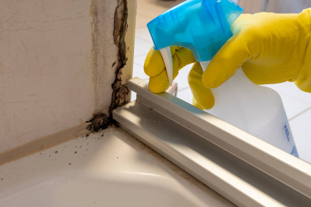 Best Emergency Mold Removal  in Sabetha, KS
