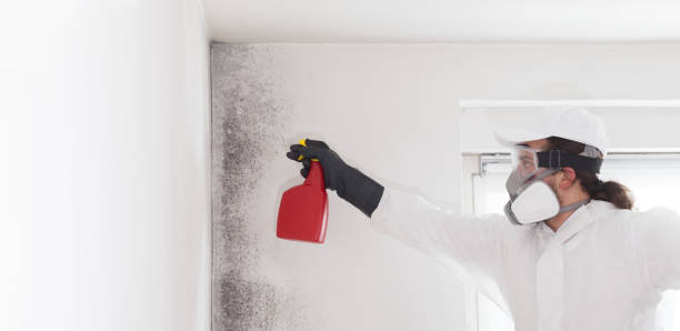 Best Residential Mold Removal  in Sabetha, KS