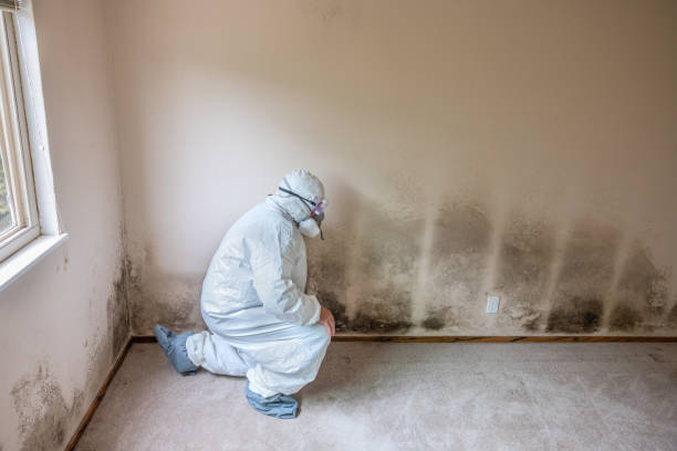 Best Mold Testing  in Sabetha, KS